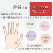 ヒメ日記 2024/06/02 11:36 投稿 横山　しおり リラクゼーションサロン　le Cocon～ルココン～