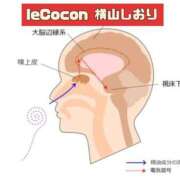 ヒメ日記 2025/01/09 14:18 投稿 横山　しおり リラクゼーションサロン　le Cocon～ルココン～