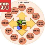 ヒメ日記 2025/02/21 14:33 投稿 横山　しおり リラクゼーションサロン　le Cocon～ルココン～