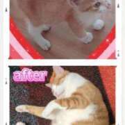 ヒメ日記 2025/02/22 12:19 投稿 横山　しおり リラクゼーションサロン　le Cocon～ルココン～