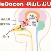 ヒメ日記 2025/02/28 19:34 投稿 横山　しおり リラクゼーションサロン　le Cocon～ルココン～