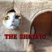 ヒメ日記 2025/03/30 09:33 投稿 横山　しおり リラクゼーションサロン　le Cocon～ルココン～