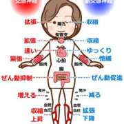 ヒメ日記 2025/04/08 10:48 投稿 横山　しおり リラクゼーションサロン　le Cocon～ルココン～