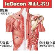 ヒメ日記 2025/04/14 15:33 投稿 横山　しおり リラクゼーションサロン　le Cocon～ルココン～