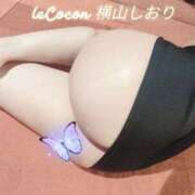ヒメ日記 2025/04/20 09:33 投稿 横山　しおり リラクゼーションサロン　le Cocon～ルココン～