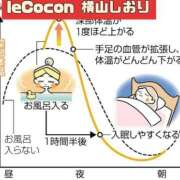 ヒメ日記 2025/04/22 14:48 投稿 横山　しおり リラクゼーションサロン　le Cocon～ルココン～