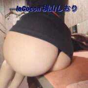 ヒメ日記 2025/04/28 11:33 投稿 横山　しおり リラクゼーションサロン　le Cocon～ルココン～