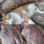 ヒメ日記 2025/05/23 13:03 投稿 横山　しおり リラクゼーションサロン　le Cocon～ルココン～