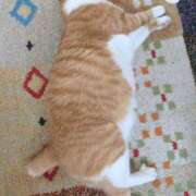 ヒメ日記 2025/06/10 11:57 投稿 横山　しおり リラクゼーションサロン　le Cocon～ルココン～