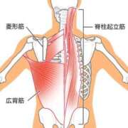 ヒメ日記 2025/06/14 10:57 投稿 横山　しおり リラクゼーションサロン　le Cocon～ルココン～