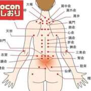 ヒメ日記 2025/06/16 14:12 投稿 横山　しおり リラクゼーションサロン　le Cocon～ルココン～