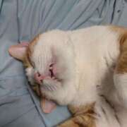 ヒメ日記 2025/07/06 23:21 投稿 横山　しおり リラクゼーションサロン　le Cocon～ルココン～