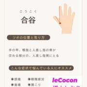 ヒメ日記 2025/08/01 16:13 投稿 横山　しおり リラクゼーションサロン　le Cocon～ルココン～