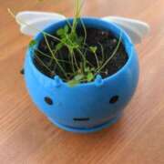 ヒメ日記 2025/08/20 18:45 投稿 横山　しおり リラクゼーションサロン　le Cocon～ルココン～