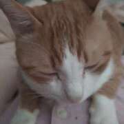 ヒメ日記 2025/08/23 10:57 投稿 横山　しおり リラクゼーションサロン　le Cocon～ルココン～