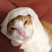 ヒメ日記 2025/10/10 22:27 投稿 横山　しおり リラクゼーションサロン　le Cocon～ルココン～