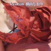 ヒメ日記 2025/10/24 11:48 投稿 横山　しおり リラクゼーションサロン　le Cocon～ルココン～