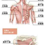 ヒメ日記 2025/11/06 10:34 投稿 横山　しおり リラクゼーションサロン　le Cocon～ルココン～