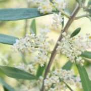 横山 しおり 皆様大丈夫ですか😭?? リラクゼーションサロン le Cocon~ルココン~