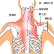 ヒメ日記 2025/12/27 15:18 投稿 横山　しおり リラクゼーションサロン　le Cocon～ルココン～