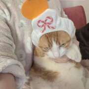 ヒメ日記 2026/01/01 11:18 投稿 横山　しおり リラクゼーションサロン　le Cocon～ルココン～