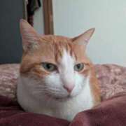 ヒメ日記 2026/01/03 09:42 投稿 横山　しおり リラクゼーションサロン　le Cocon～ルココン～