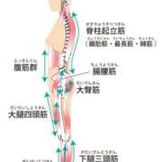 ヒメ日記 2026/01/30 11:03 投稿 横山　しおり リラクゼーションサロン　le Cocon～ルココン～