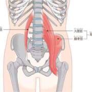 ヒメ日記 2026/02/18 09:33 投稿 横山　しおり リラクゼーションサロン　le Cocon～ルココン～