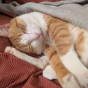 ヒメ日記 2026/02/19 08:48 投稿 横山　しおり リラクゼーションサロン　le Cocon～ルココン～