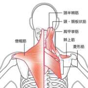ヒメ日記 2026/03/03 22:20 投稿 横山　しおり リラクゼーションサロン　le Cocon～ルココン～