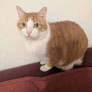 ヒメ日記 2026/03/04 14:03 投稿 横山　しおり リラクゼーションサロン　le Cocon～ルココン～