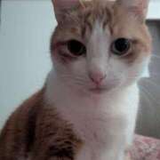 ヒメ日記 2026/03/08 19:03 投稿 横山　しおり リラクゼーションサロン　le Cocon～ルココン～