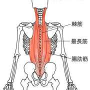 ヒメ日記 2026/03/10 21:33 投稿 横山　しおり リラクゼーションサロン　le Cocon～ルココン～