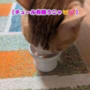 ヒメ日記 2026/03/14 19:42 投稿 横山　しおり リラクゼーションサロン　le Cocon～ルココン～