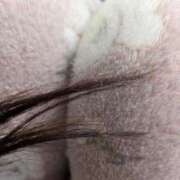 ヒメ日記 2026/03/18 13:18 投稿 横山　しおり リラクゼーションサロン　le Cocon～ルココン～