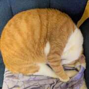 ヒメ日記 2026/03/23 17:33 投稿 横山　しおり リラクゼーションサロン　le Cocon～ルココン～