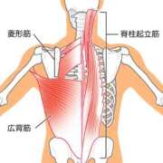 ヒメ日記 2026/03/29 09:33 投稿 横山　しおり リラクゼーションサロン　le Cocon～ルココン～