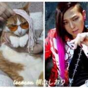 ヒメ日記 2026/04/12 10:57 投稿 横山　しおり リラクゼーションサロン　le Cocon～ルココン～