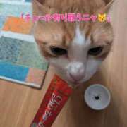 ヒメ日記 2026/04/12 22:34 投稿 横山　しおり リラクゼーションサロン　le Cocon～ルココン～