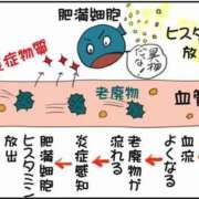 ヒメ日記 2026/04/17 20:28 投稿 横山　しおり リラクゼーションサロン　le Cocon～ルココン～