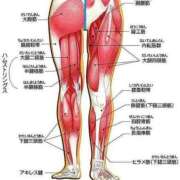 ヒメ日記 2026/04/26 12:48 投稿 横山　しおり リラクゼーションサロン　le Cocon～ルココン～