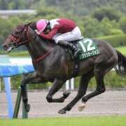 ヒメ日記 2026/07/05 18:49 投稿 横山　しおり リラクゼーションサロン　le Cocon～ルココン～