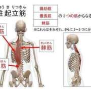 ヒメ日記 2026/07/08 12:19 投稿 横山　しおり リラクゼーションサロン　le Cocon～ルココン～