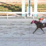 ヒメ日記 2026/07/09 19:04 投稿 横山　しおり リラクゼーションサロン　le Cocon～ルココン～