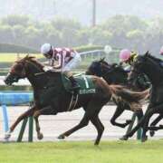 ヒメ日記 2026/07/19 18:33 投稿 横山　しおり リラクゼーションサロン　le Cocon～ルココン～