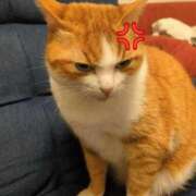 ヒメ日記 2026/08/09 12:15 投稿 横山　しおり リラクゼーションサロン　le Cocon～ルココン～