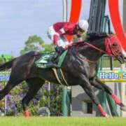 ヒメ日記 2026/08/10 09:03 投稿 横山　しおり リラクゼーションサロン　le Cocon～ルココン～