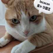 ヒメ日記 2026/08/13 11:27 投稿 横山　しおり リラクゼーションサロン　le Cocon～ルココン～