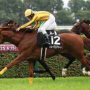 ヒメ日記 2026/08/16 10:12 投稿 横山　しおり リラクゼーションサロン　le Cocon～ルココン～