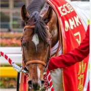 ヒメ日記 2026/08/21 09:27 投稿 横山　しおり リラクゼーションサロン　le Cocon～ルココン～
